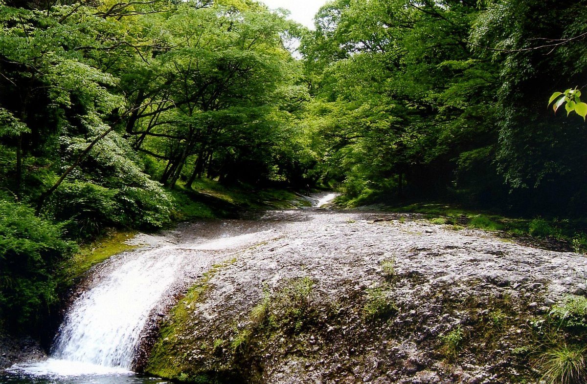 🏞️ 나메카와 계곡 (나메카와케이코쿠) 이미지 4